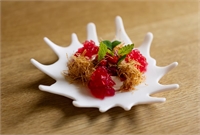 De los Pirineos a los Alpes. Cocina vegetal de alta montaña