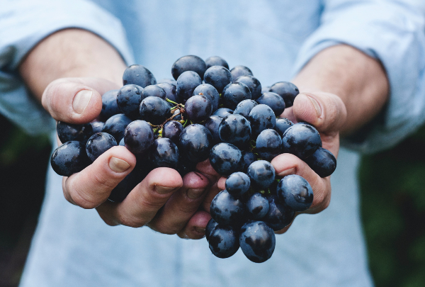 Más de 1.000 metros: vinos que rozan el cielo