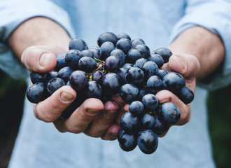 Más de 1.000 metros: vinos que rozan el cielo 